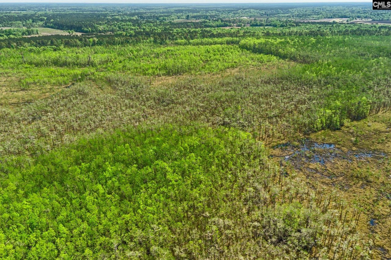 Tbd Alligator Road  Photo 24