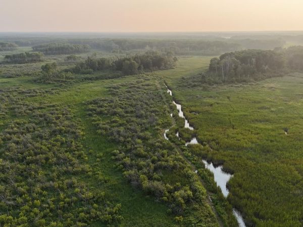 12031 State 64, Akeley, MN 56433