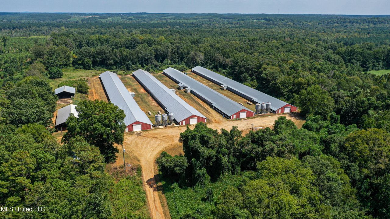 7749 Hickory Little Rock Road, Decatur, MS 39327 Main Photo