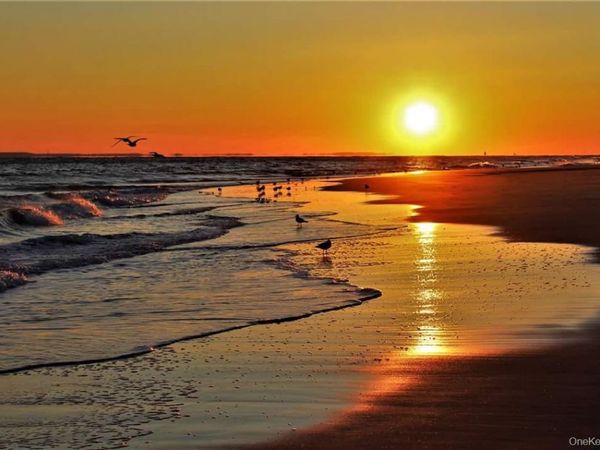 168 Beach 96th Street, Rockaway Beach, NY 11693