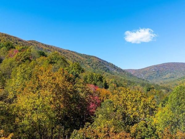 96 LITTLE STONEY LN, NELLYSFORD, VA 22958