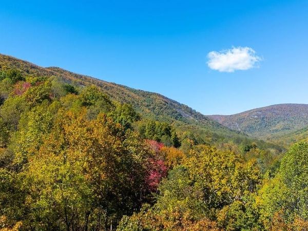 96 LITTLE STONEY LN, NELLYSFORD, VA 22958