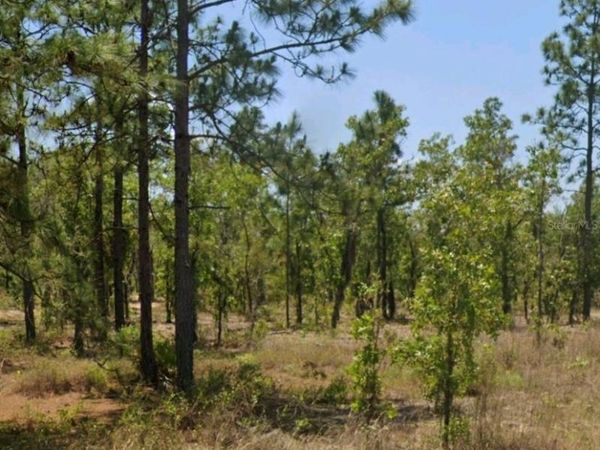 LOT 14 15 16 AND 17 IDAHO AVENUE, HAWTHORNE, FL 32640