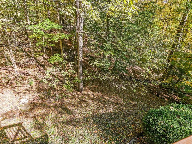 256 Pinehurst Drive, Granville, OH 43023 Photo 61