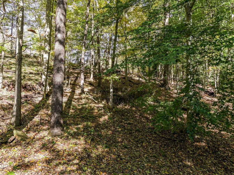 256 Pinehurst Drive, Granville, OH 43023 Photo 65