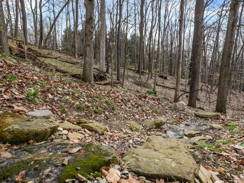 256 Pinehurst Drive, Granville, OH 43023 Photo 83