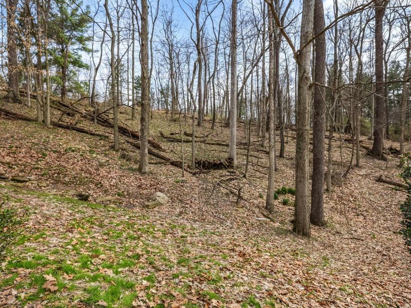 256 Pinehurst Drive, Granville, OH 43023 Photo 87