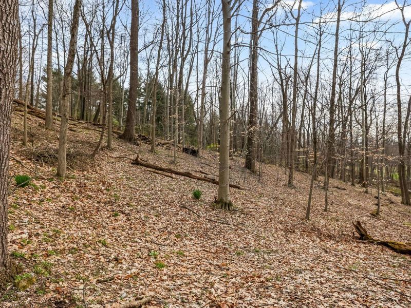 256 Pinehurst Drive, Granville, OH 43023 Photo 89