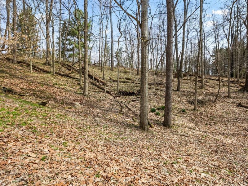 256 Pinehurst Drive, Granville, OH 43023 Photo 90