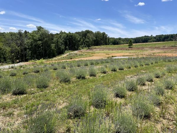 353 Co Rd 170, Athens, TN 37303