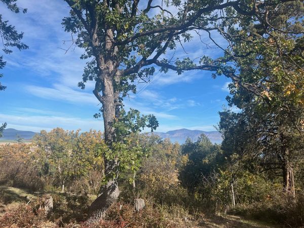 Osprey Lane, Unit 198, Klamath Falls, OR 97601