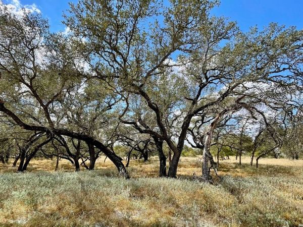 265 Firewheel Loop, Floresville, TX 78114