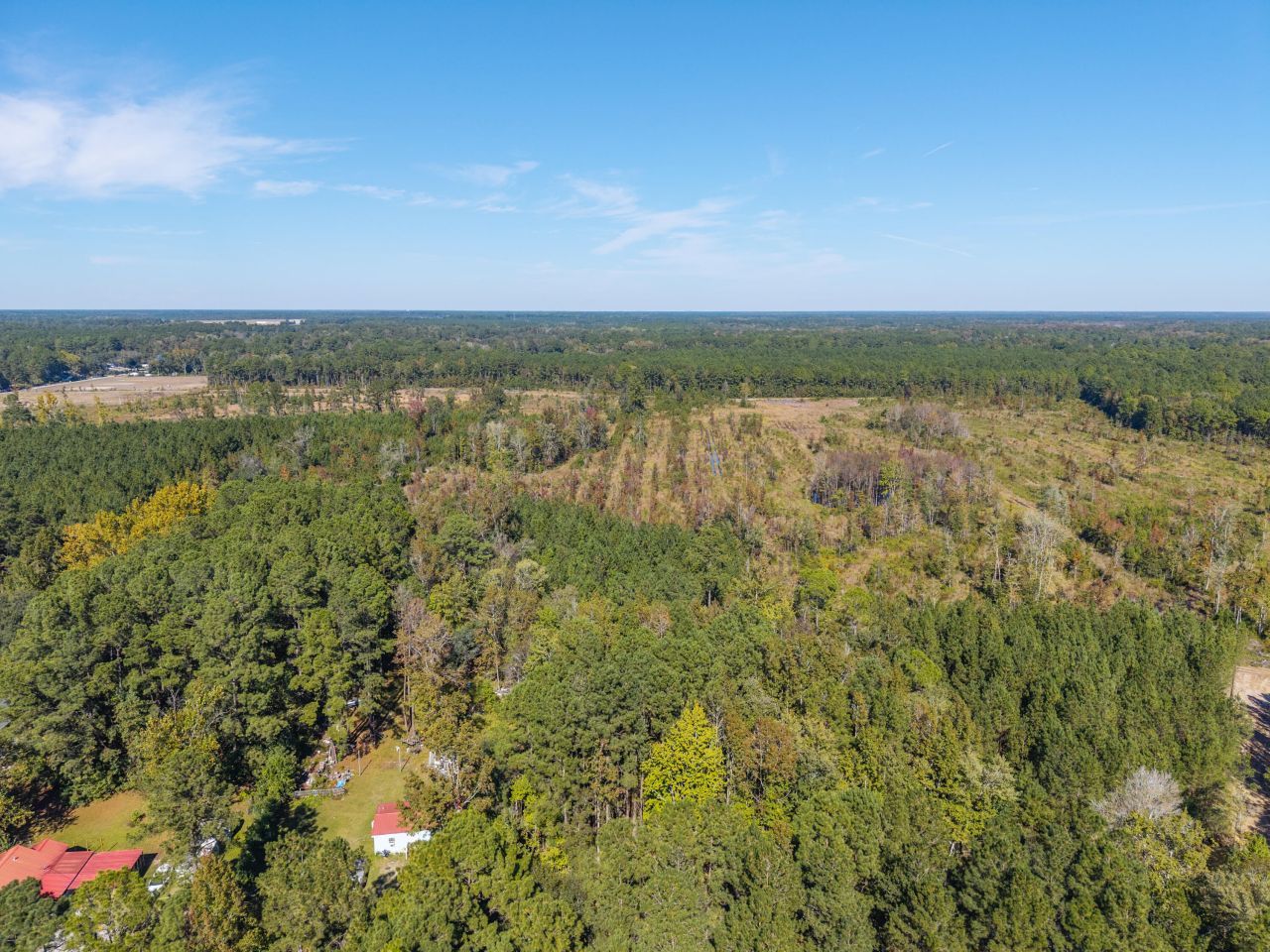 905 Peurifoy Road Photo 10