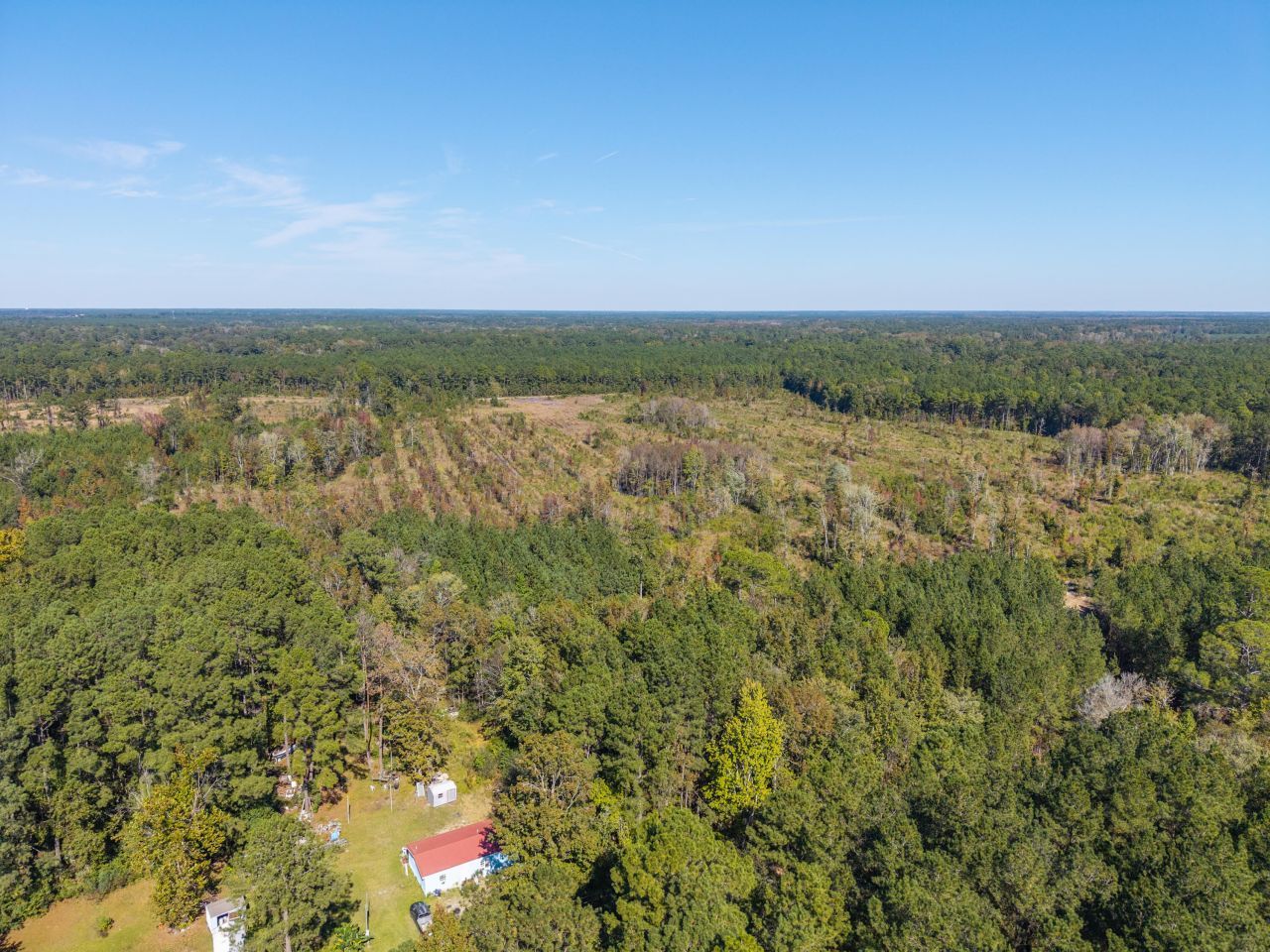 905 Peurifoy Road Photo 12