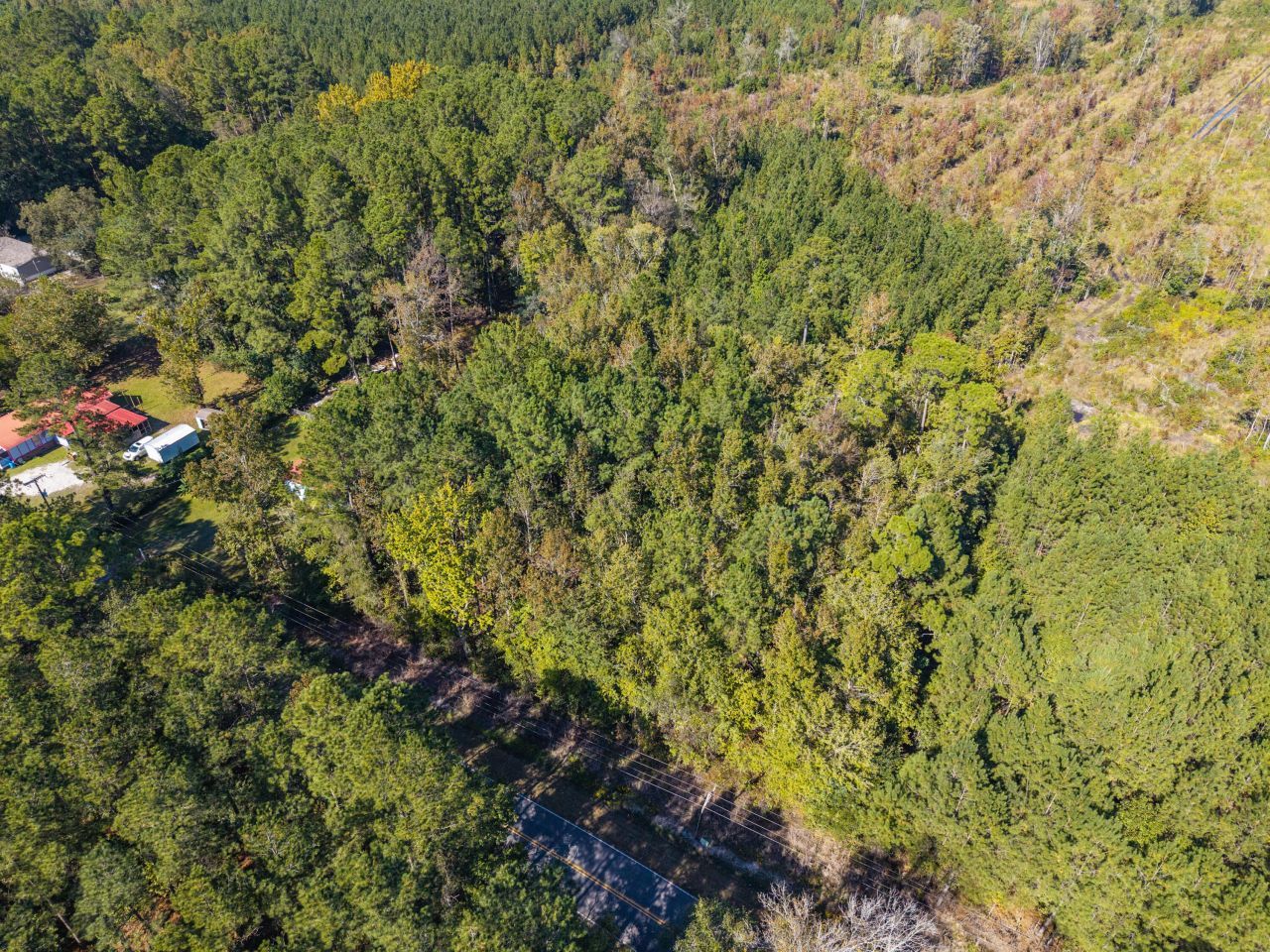 905 Peurifoy Road Photo 15