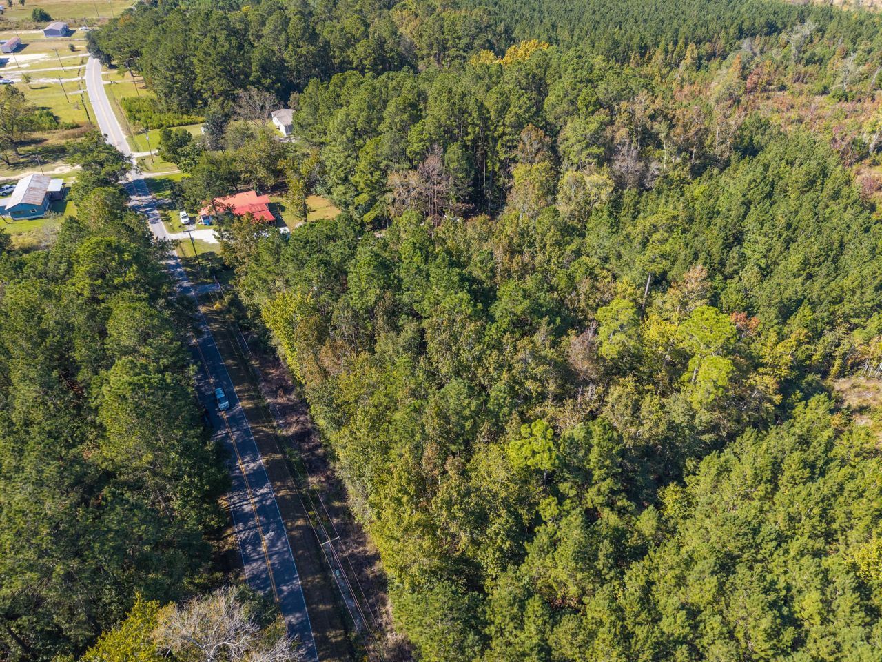 905 Peurifoy Road Photo 16