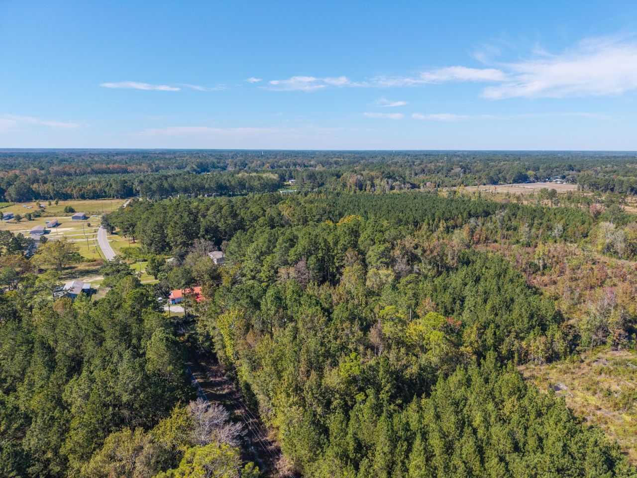 905 Peurifoy Road Photo 18