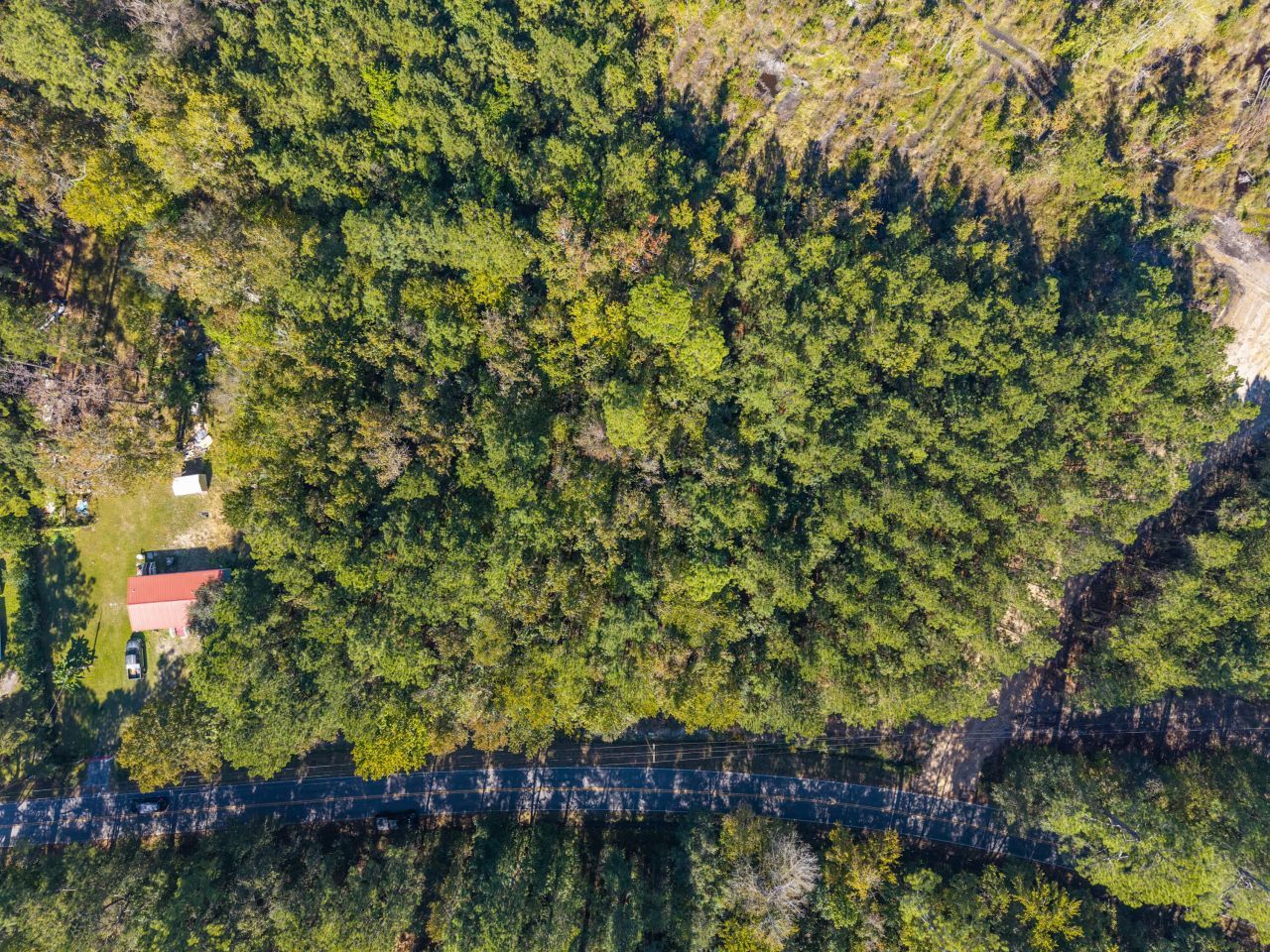 905 Peurifoy Road Photo 19