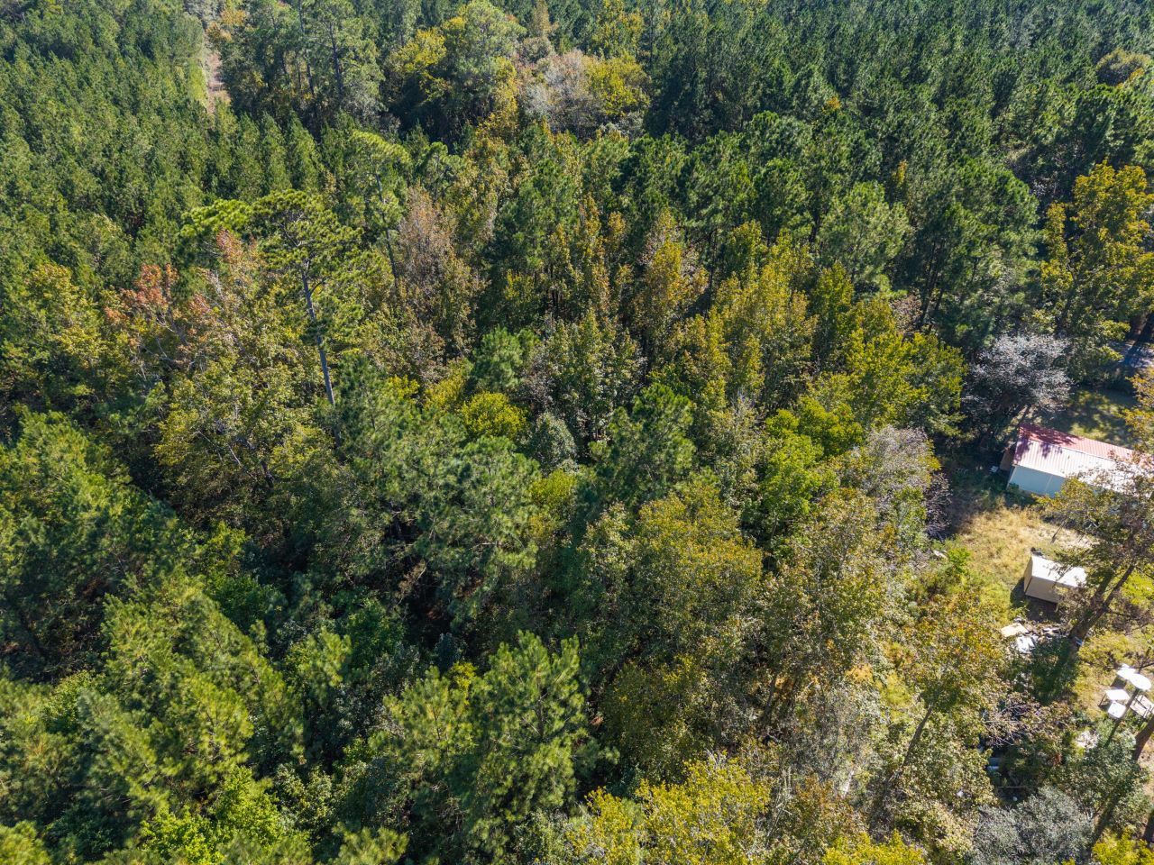 905 Peurifoy Road Photo 20