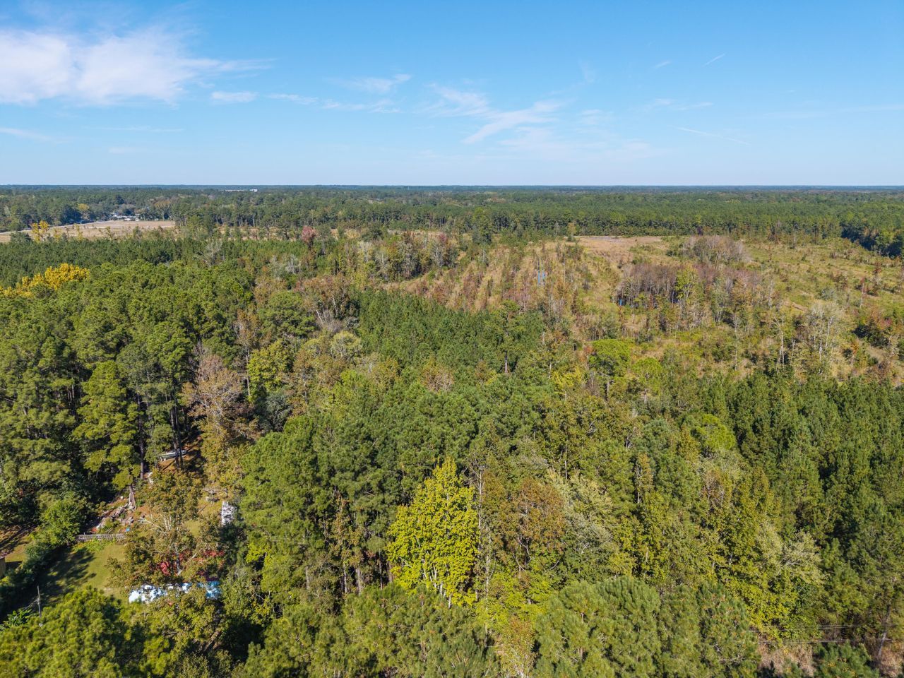 905 Peurifoy Road Photo 6