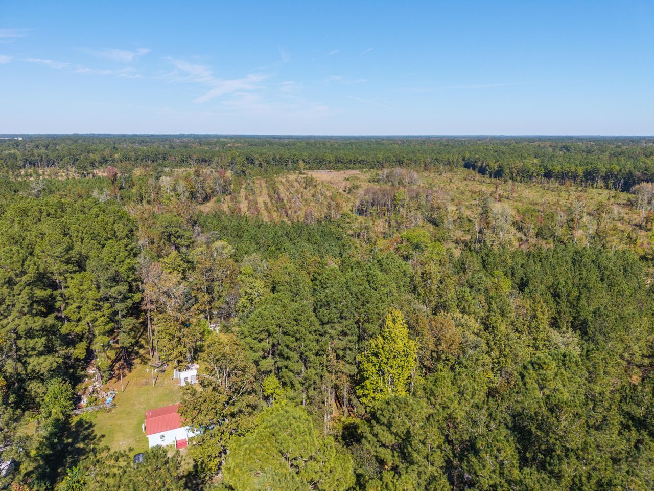 905 Peurifoy Road Photo 7