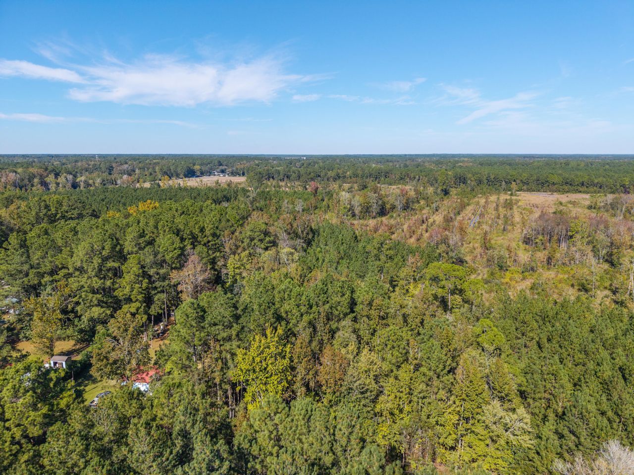 905 Peurifoy Road Photo 8