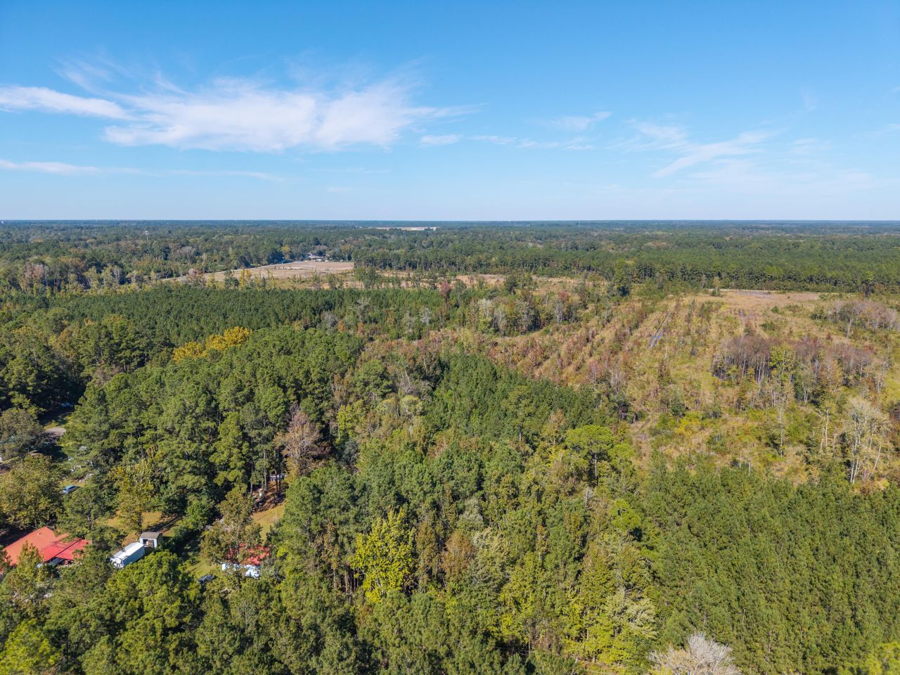 905 Peurifoy Road Photo 9