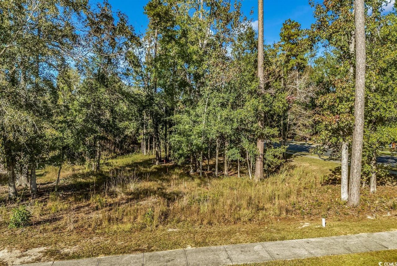 800 Jeter Ln. Photo 8