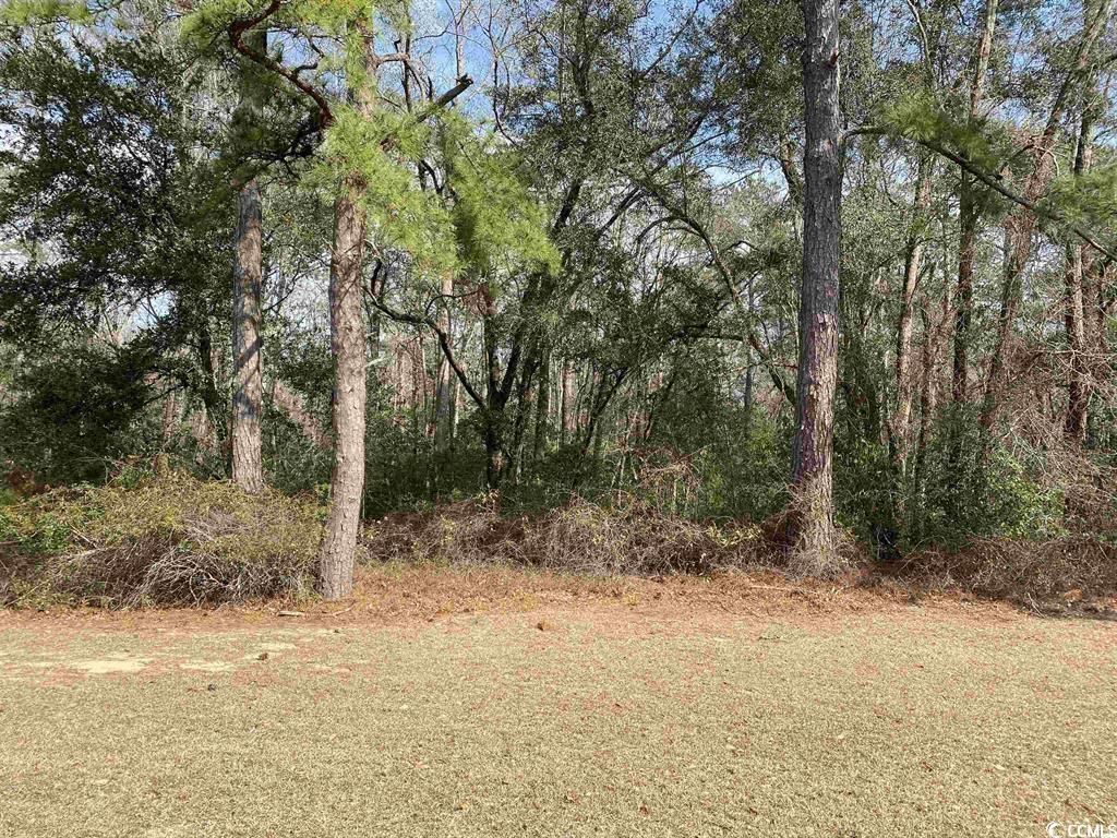 634 Mccown Dr. Photo 3