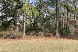 634 Mccown Dr. photo 4