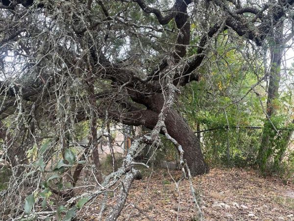 749 Canyon Circle, Canyon Lake, TX 78133