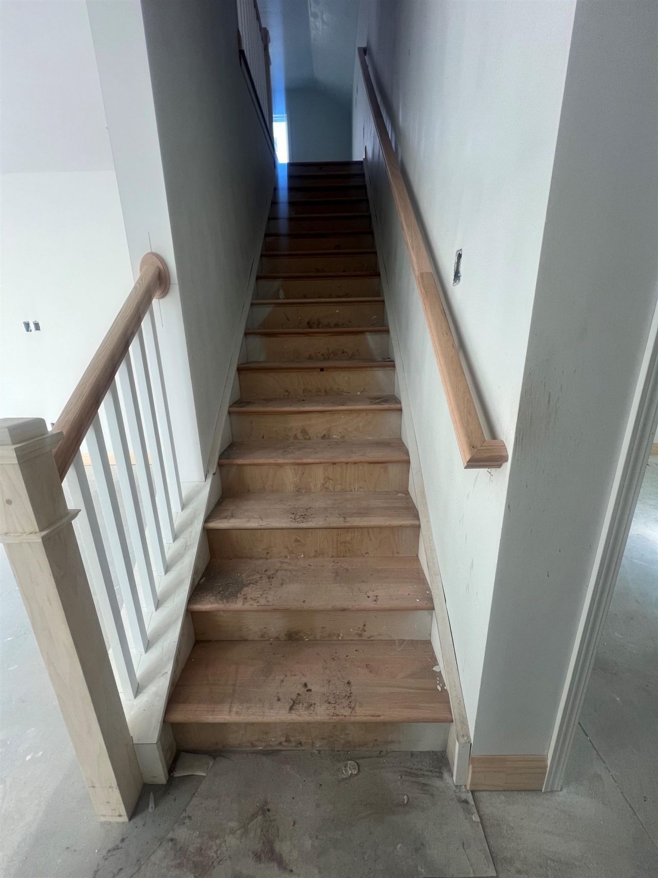 1174 Lady Bird Way Photo 11