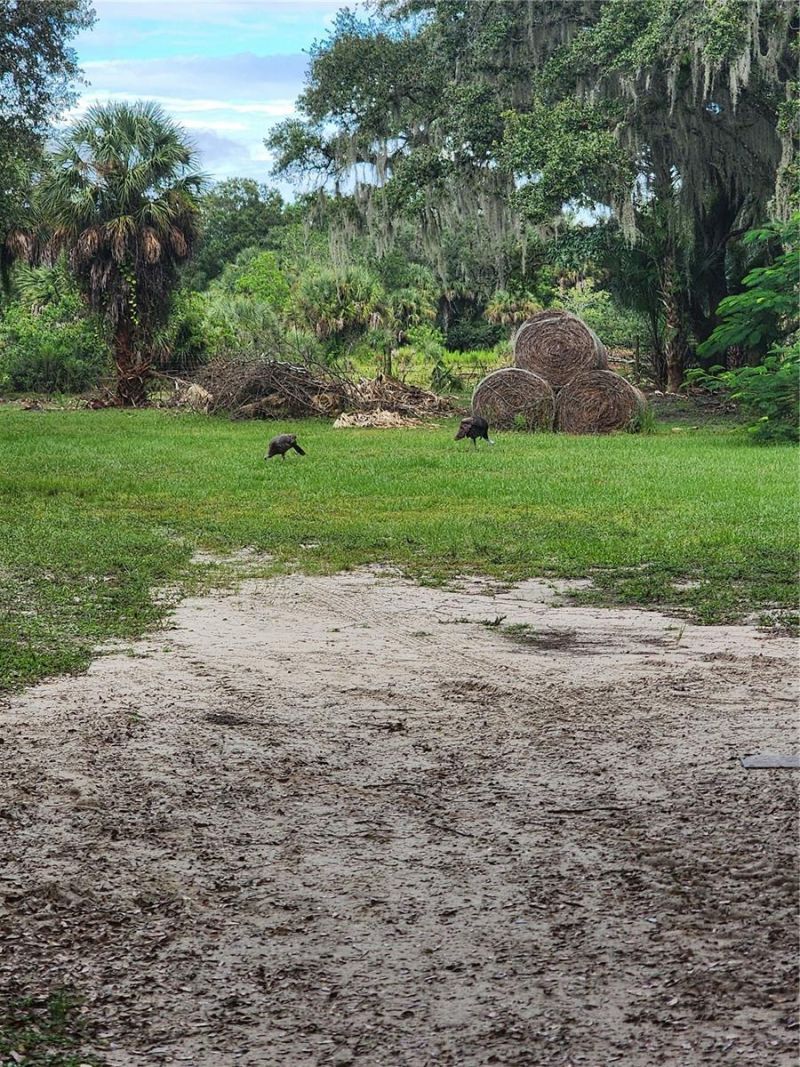 3945 County Road 833, Clewiston, FL 33440 Photo