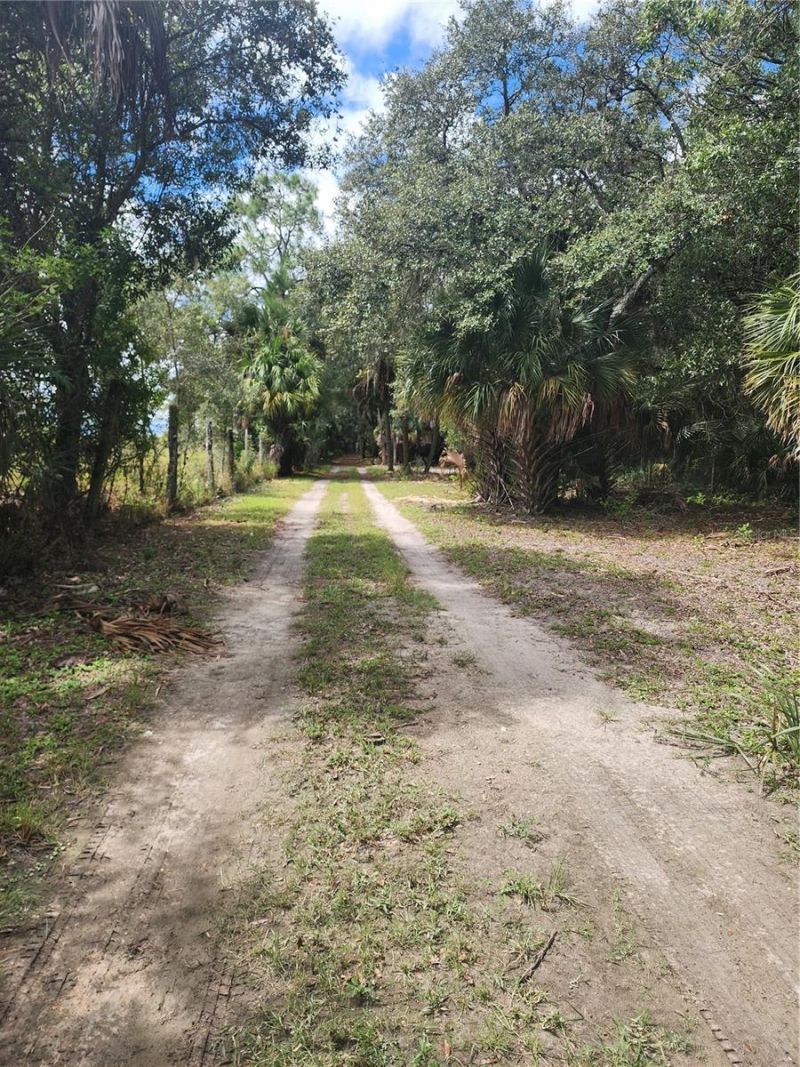 3945 County Road 833, Clewiston, FL 33440 Photo