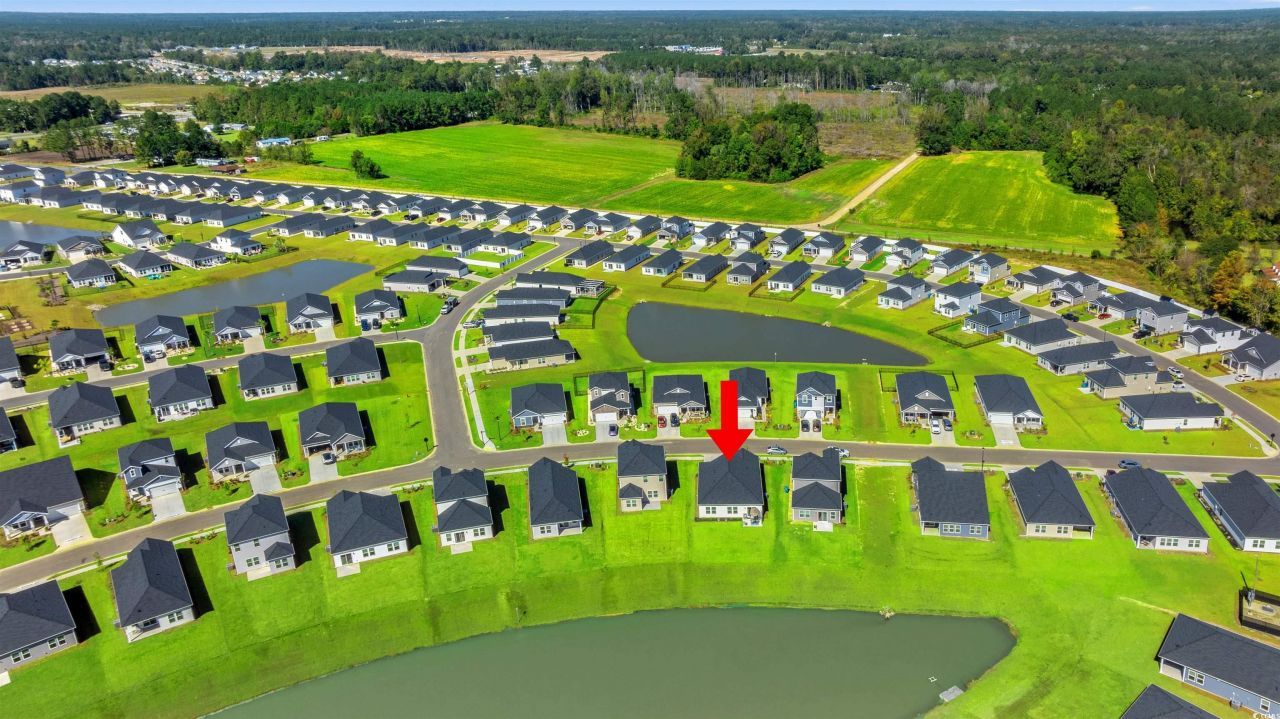 1546 Regal Fern Way Photo 28