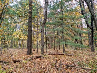 TBD 241st., Stacy, MN 55079