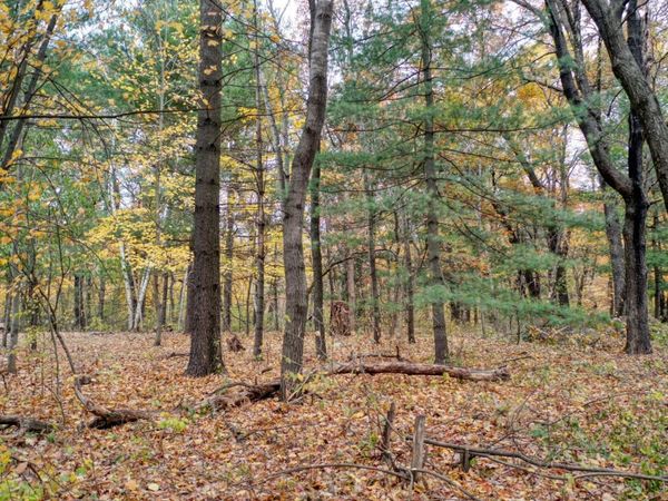 TBD 241st., Stacy, MN 55079