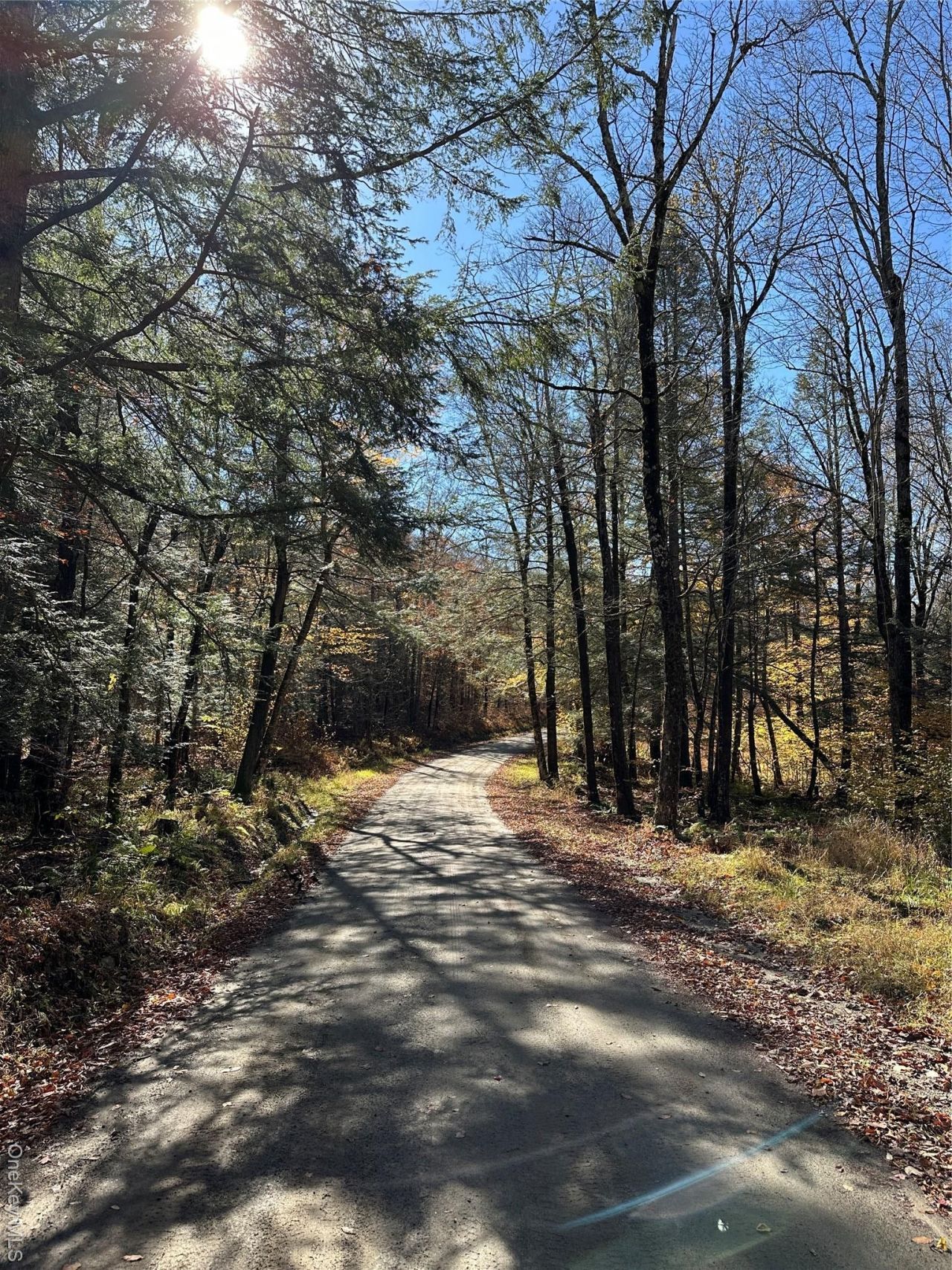 24 Mud Pond Road, Livingston Manor, NY 12758 Main Photo