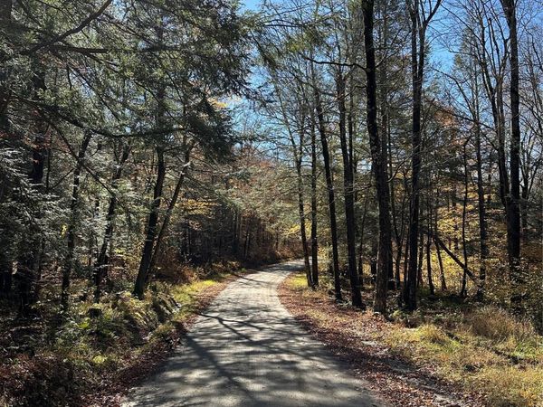 24 Mud Pond Road, Livingston Manor, NY 12758