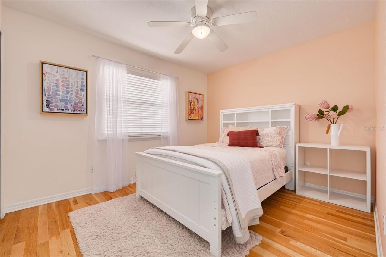 859 23rd Avenue N, Saint Petersburg, FL 33704 Photo