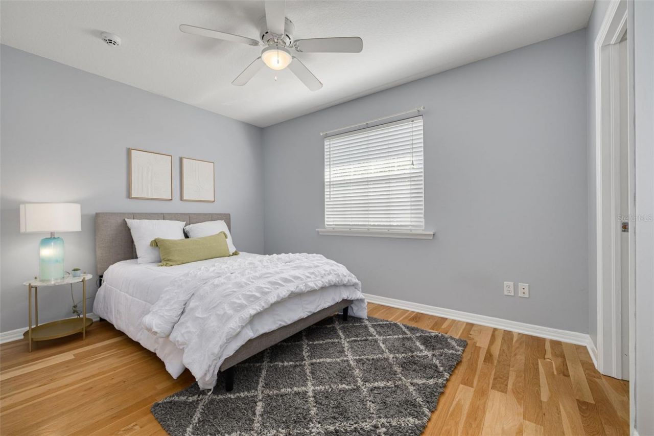 859 23rd Avenue N, Saint Petersburg, FL 33704 Photo