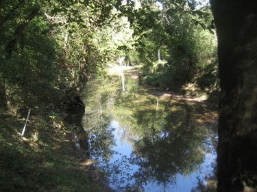 901 Hayden Brothers Lane, Springfield, KY 40069