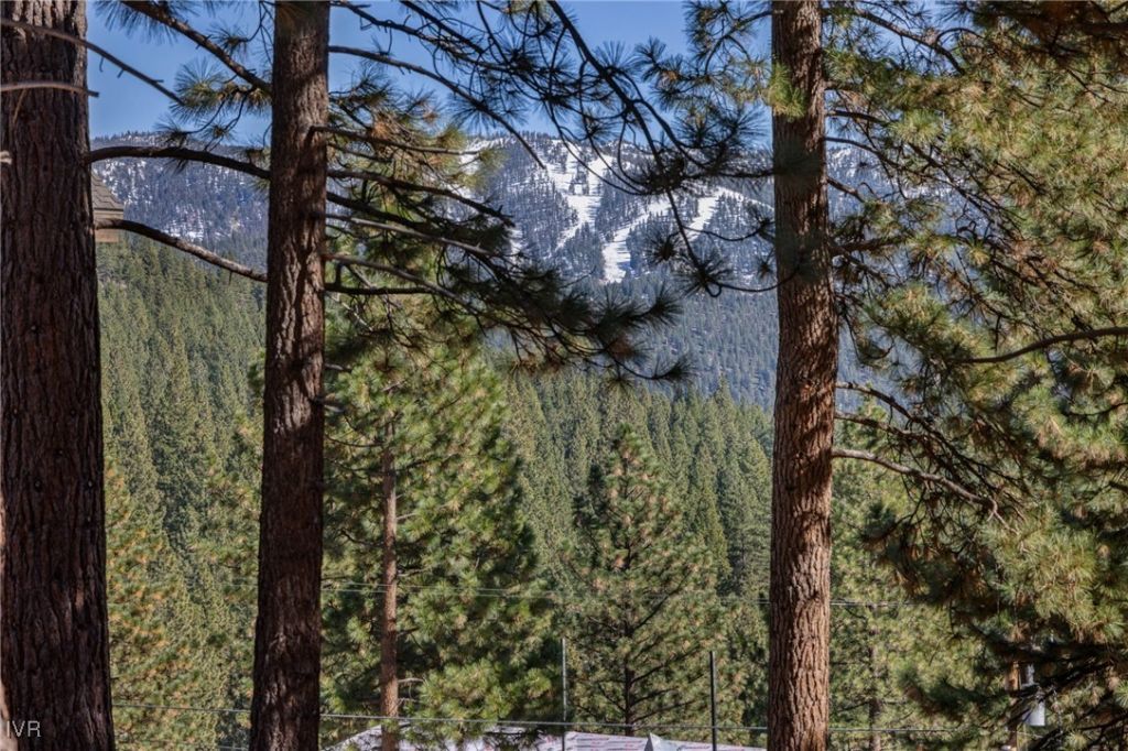 565 Alden Lane, Incline Village, NV 89451 Photo