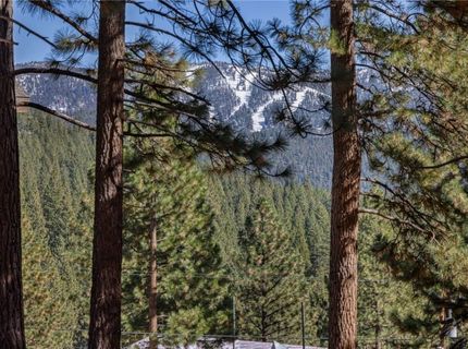 565 Alden Lane, Incline Village, NV 89451 Photo