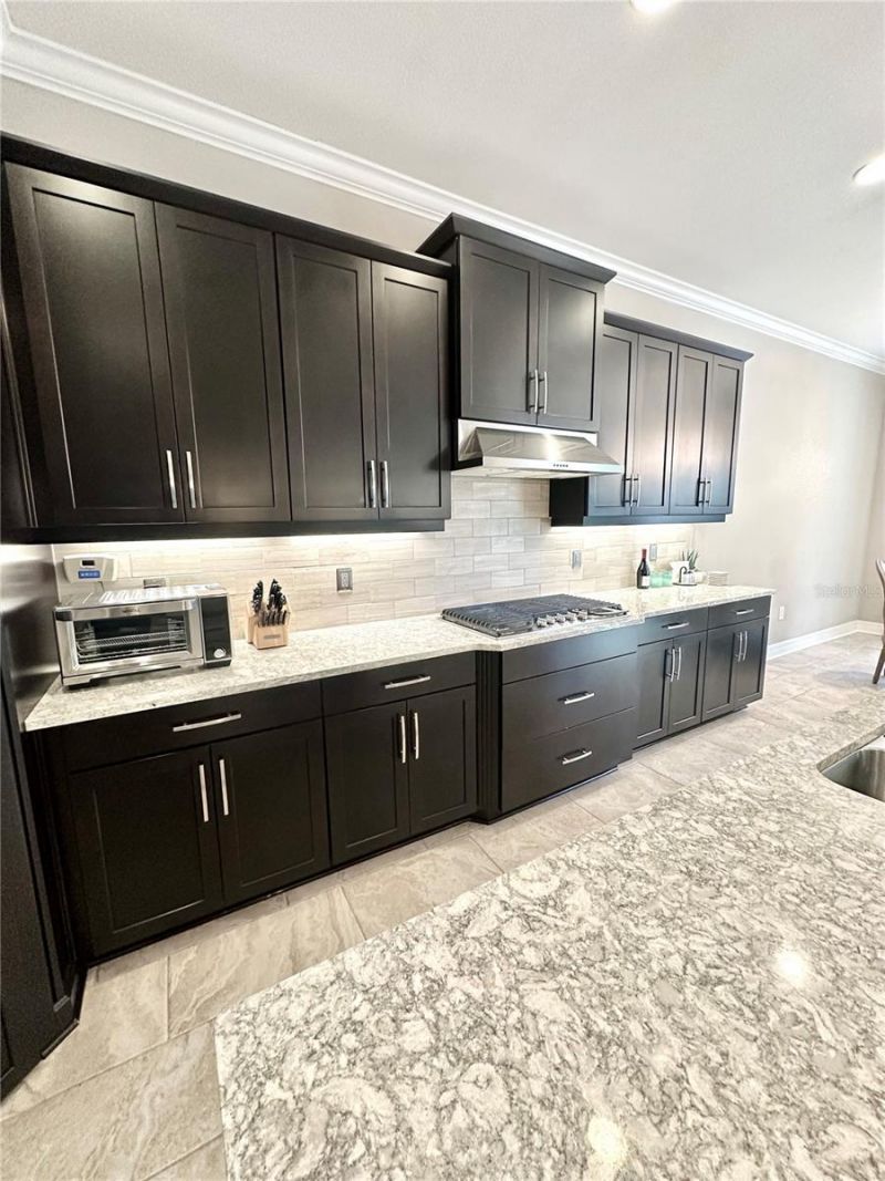 2620 Milford Berry Lane, Tampa, FL 33618 Photo