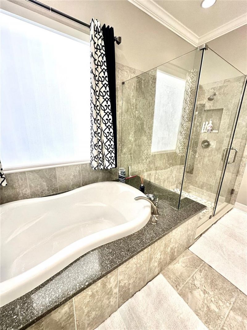 2620 Milford Berry Lane, Tampa, FL 33618 Photo