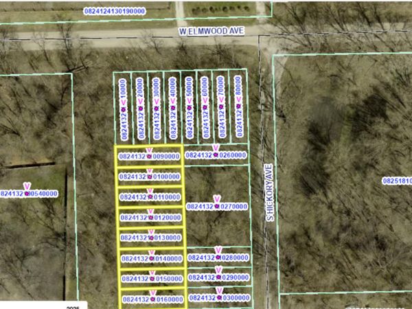 Lot 26-33 S Hickory Avenue, Wilmington, IL 60481