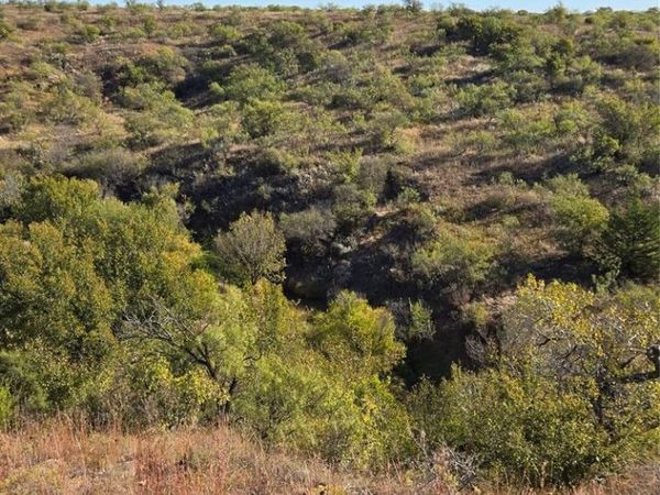 N COUNTY ROAD1900 Road, Mangum, OK 73554