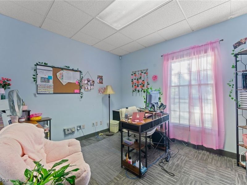 925 Trailwood Drive, Boardman, OH 44512 Photo 22