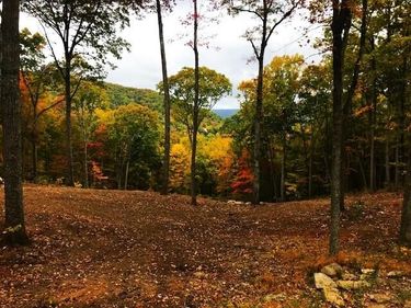 DR Lot #60 North Forest Trl, Hot Springs, VA 24445